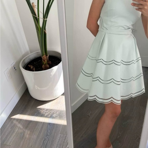 Ted Baker Skater Dress size Small - Picture 4 of 4